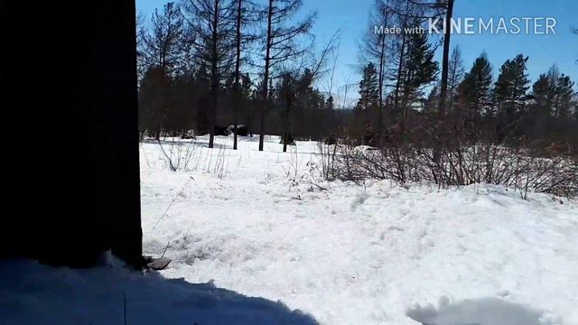 Паркур и сальто от первого лица ШОК!! КС ГОЙЛЕР УПАЛ НА СТУЛ ЖОПАЙ смотреть онлайн