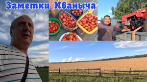 Самая дорогая покупка за всю историю канала, приезд гостей, соленые помидоры