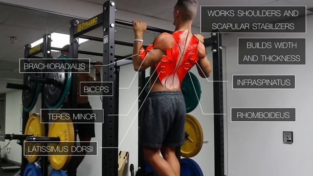 The Best Science-Based Upper Body Workout for Growth (Chest/Back/Arms/Shoulders) смотреть онлайн