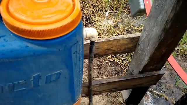 Roda dágua 2 смотреть онлайн