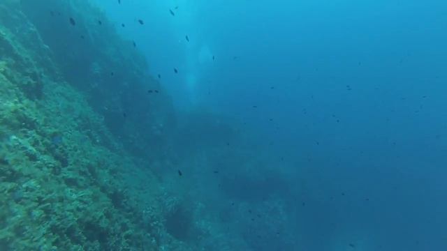 VILLAGE 2   CLUB AGAY