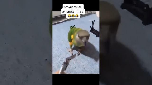 #meme #memes смотреть онлайн