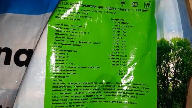 УХОД за суточными ИНДЮШАТАМИ... В КВАРТИРЕ! смотреть онлайн