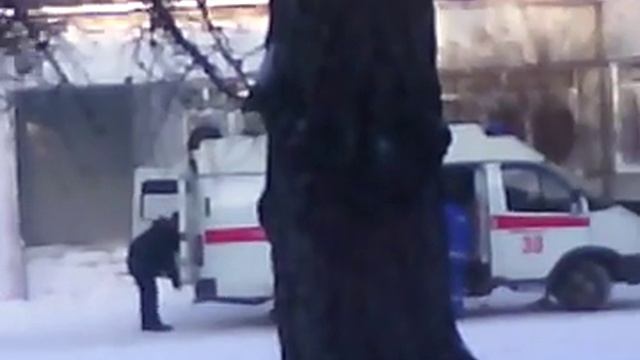 Выполняйте правила безопасности на уроке Физкультура смотреть онлайн