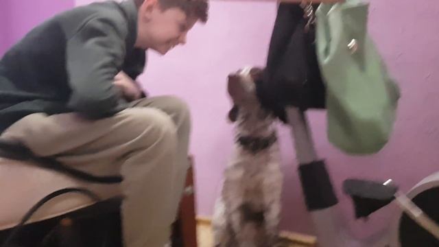 Приключения робина и Вовы 2 пёс круче чем человек даже биг смоук из гта са оценил смотреть онлайн