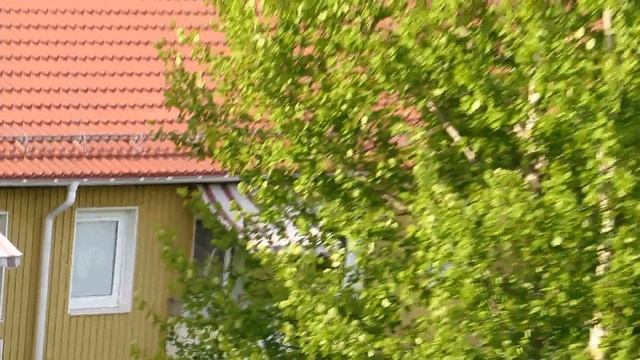 Canon Powershot SX 510 HS Video/Zoom Test смотреть онлайн