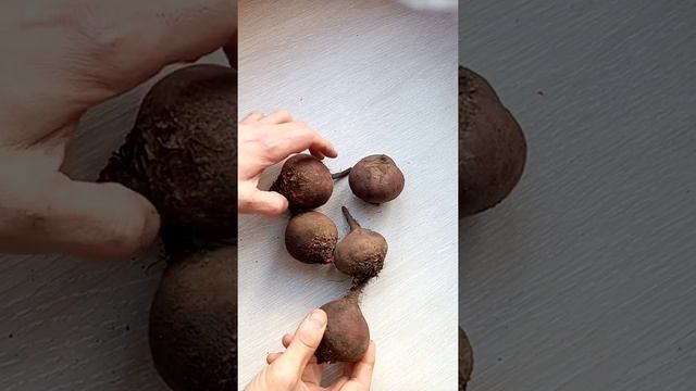 7 полезных продуктов, способных очистить организм не навредив ему. смотреть онлайн