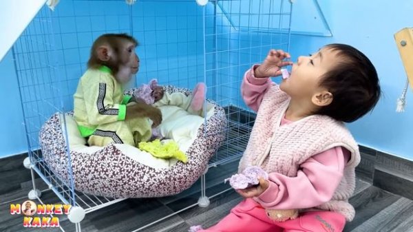 Monkey Kaka and Diem secretly ate mother's dumplings