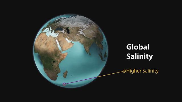 Learn #withme why it is important that the sea is salty | Prof TRACEY ROGERS смотреть онлайн