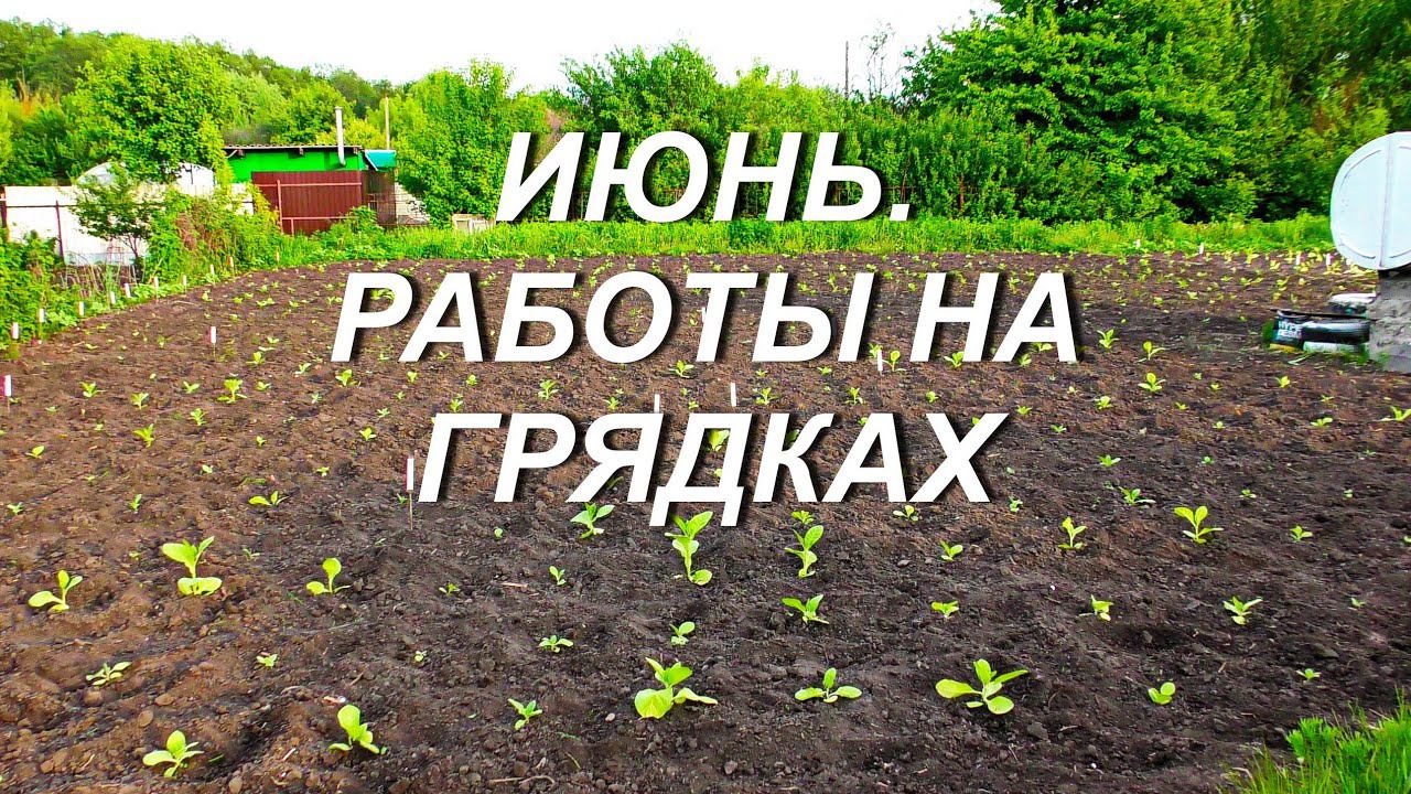 ИЮНЬ. РАБОТЫ НА ГРЯДКАХ. смотреть онлайн