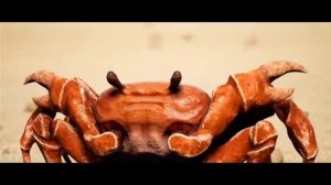 танцующие крабы песня крабы??