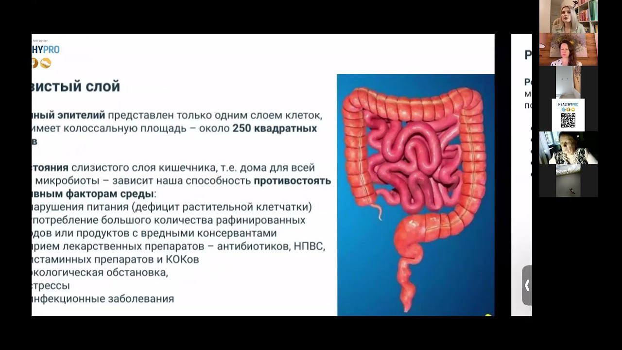 обзор программ на Healthypro (5 врачей)