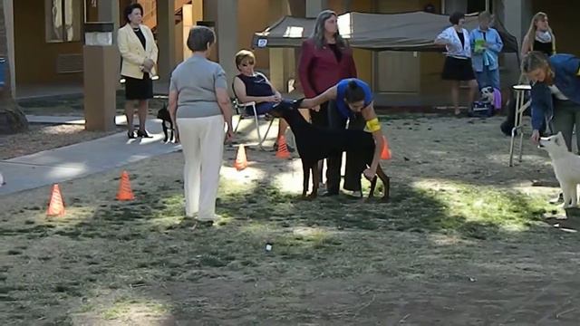 Riddick at the IABCA Show 2016 смотреть онлайн