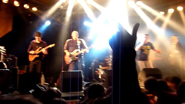 Mark Foggo - A Very Fussy Pussycat | Bijenpop, Venray 2010 смотреть онлайн