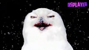 Упоротая сова из рекламы "Что? Где? Когда?" [часовая версия]