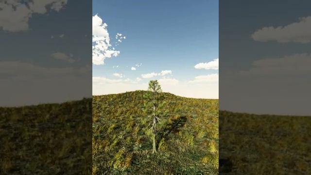 Vue Grow Tree Animation by Sergio Velasco смотреть онлайн