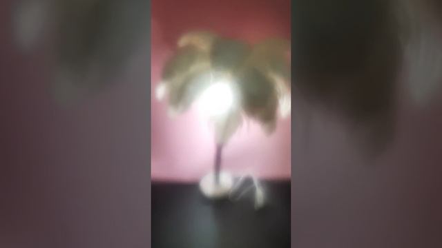 Настольный светильник #видео обзор #изолон #пальма#перья#декоративная ветка дерева #🌹🌹🌹🌹🌹🌹🌹🌹 смотреть онлайн
