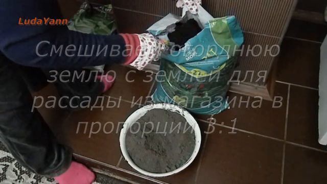 Подготовка земли для высадки рассады смотреть онлайн