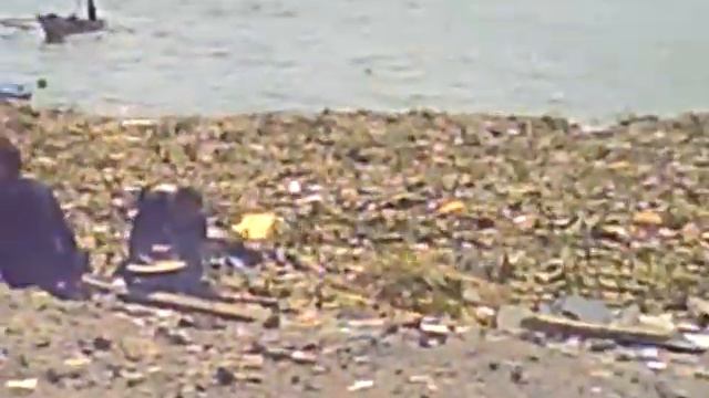 ph14 смотреть онлайн