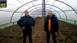 Отзыв фермера об огурце Бьерн.