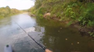 Сплав по реке Мокша| В ПОИСКАХ ГОЛАВЛЯ| Спиннинг 2020