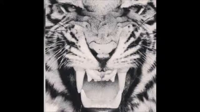 Мария -- Убегаю смотреть онлайн