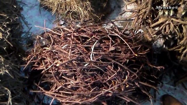 Салонные секреты красоты волос