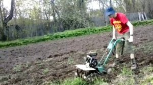 Культиватор Крот целина