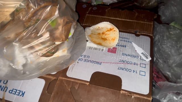 INCRIVEL TUDO QUE RESGATAMOS#dumpsterdiving # смотреть онлайн