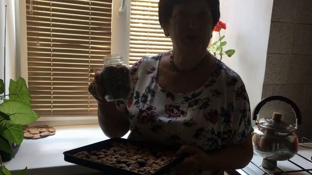 Зачем я сушу абрикосовые косточки? Дешевые миндальные орешки? Лекарство от рака? смотреть онлайн