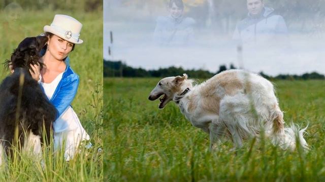 Неоконченный романс смотреть онлайн