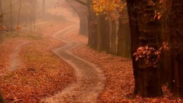 К 125-летию русского великого поэта С.А.Есенина смотреть онлайн
