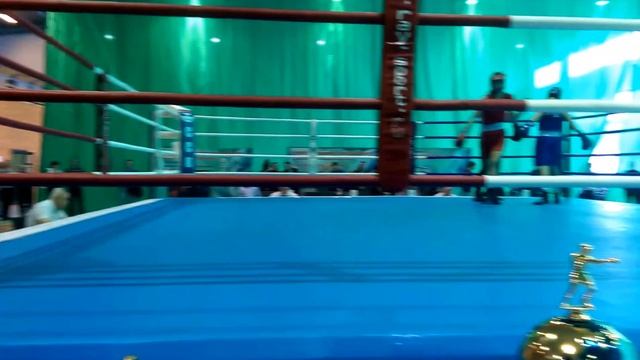 Городец-первенство Приволжского федерального округа по боксу! С 23 по 27 февраля 2016 года! смотреть онлайн