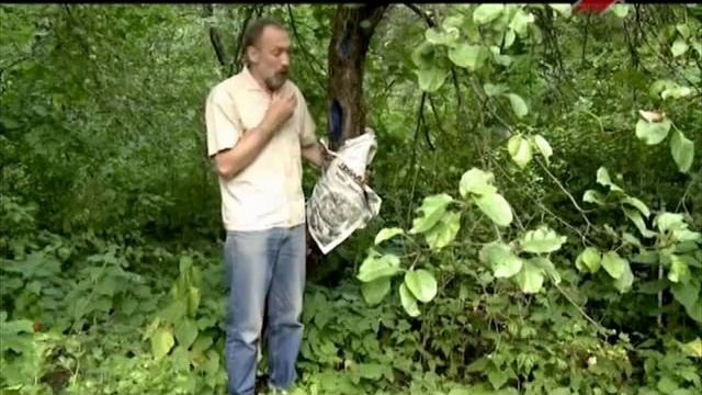 Как бороться с яблонной плодожоркой смотреть онлайн