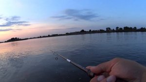 Рыбалка. Обзор на Pontoon 21 Crack Jack, разловил по судаку.