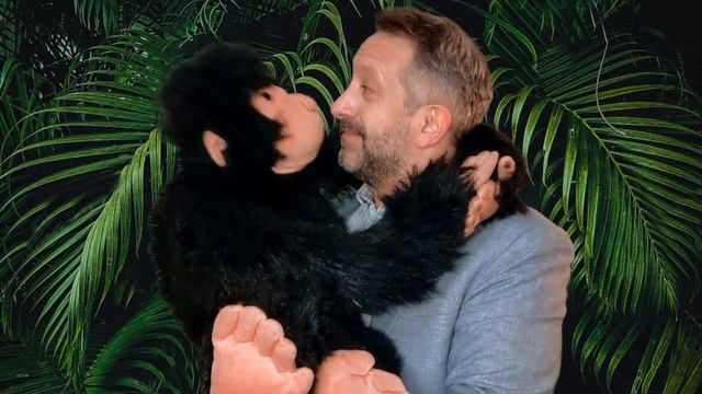 The Really Wild Wildlife Quiz смотреть онлайн