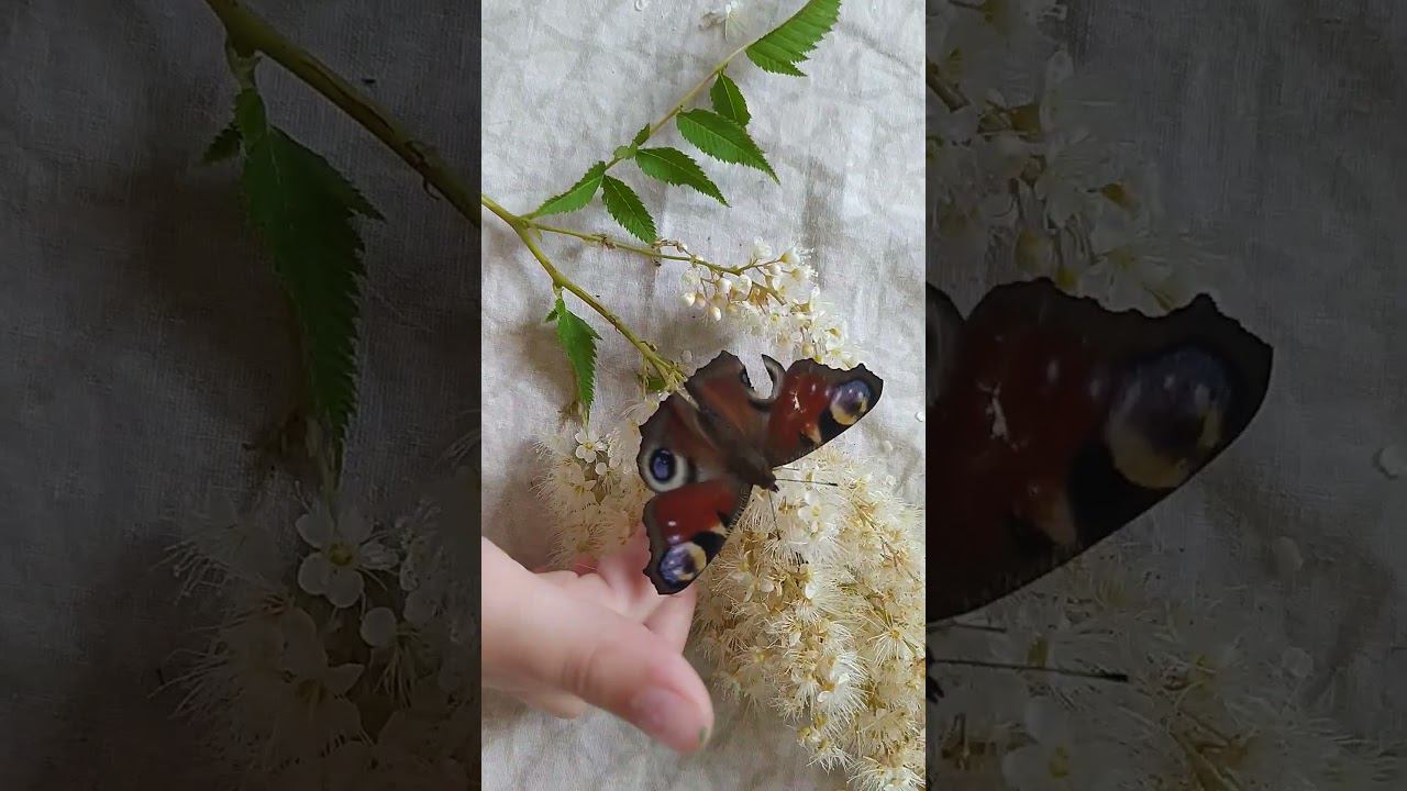 14 июля 2024 г. смотреть онлайн