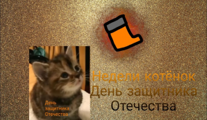 Недели котёнок День защитника Отечества