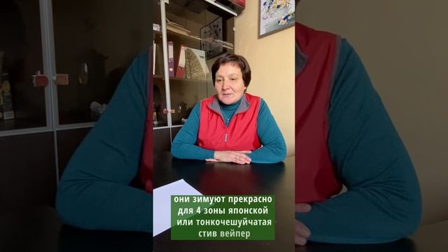 Лиственницы смотреть онлайн
