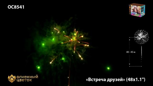 ОС8541 Встреча друзей (1,1"х 48) смотреть онлайн