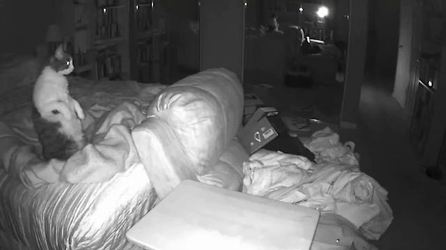 Ghost Face - Real Ghost Story Set To Paranormal Activity Caught on Camera Compilation смотреть онлайн