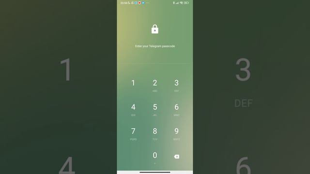 Удивительные факты