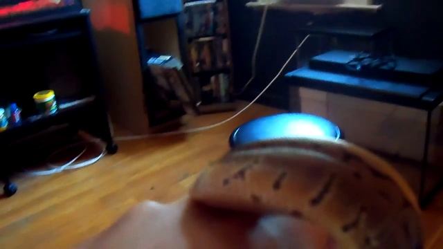 Python Update #1 смотреть онлайн