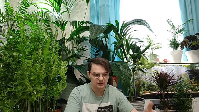Покупаю билеты в Москву/ Зелёный маркет Москвы -Growbox смотреть онлайн