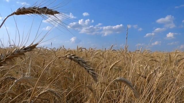 Юрий Кузнецов -《 Тайна славян 》: Стихи 1981 г. смотреть онлайн