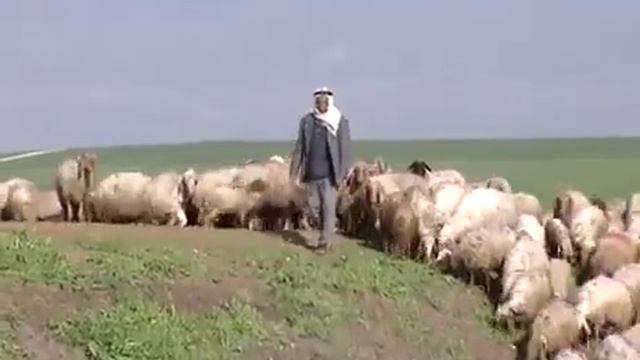 Мир Библии 1 смотреть онлайн