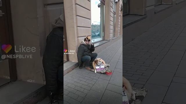 Принцессе на вкусняшки Санкт-Петербург Невский проспект Likee Nespblive