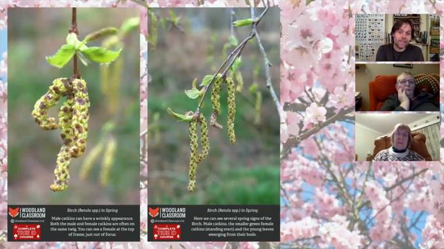 How To Identify Trees in Spring (online workshop) смотреть онлайн