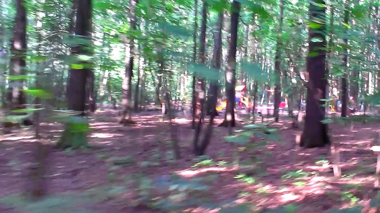 Тимирязевский парк смотреть онлайн