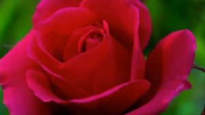 ВЛАДИМИР ЖДАМИРОВ ВЕСНА